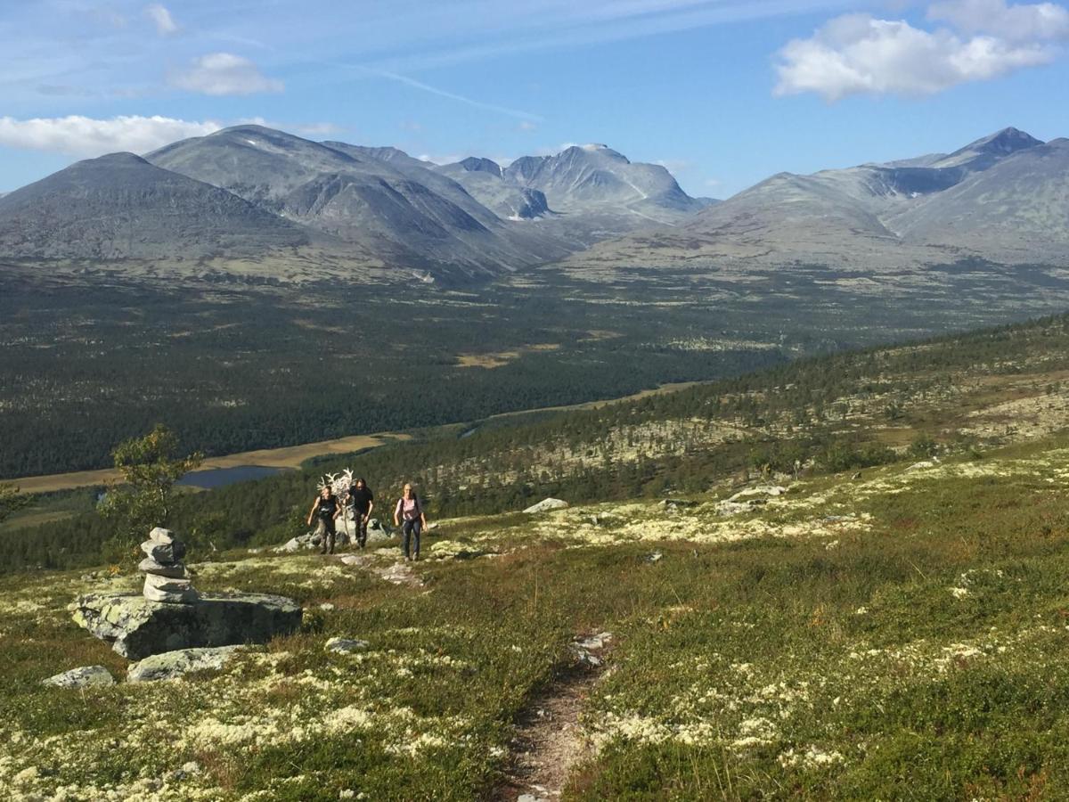 øvre Nordli Rondane Utleie Friluftsliv * Sollia