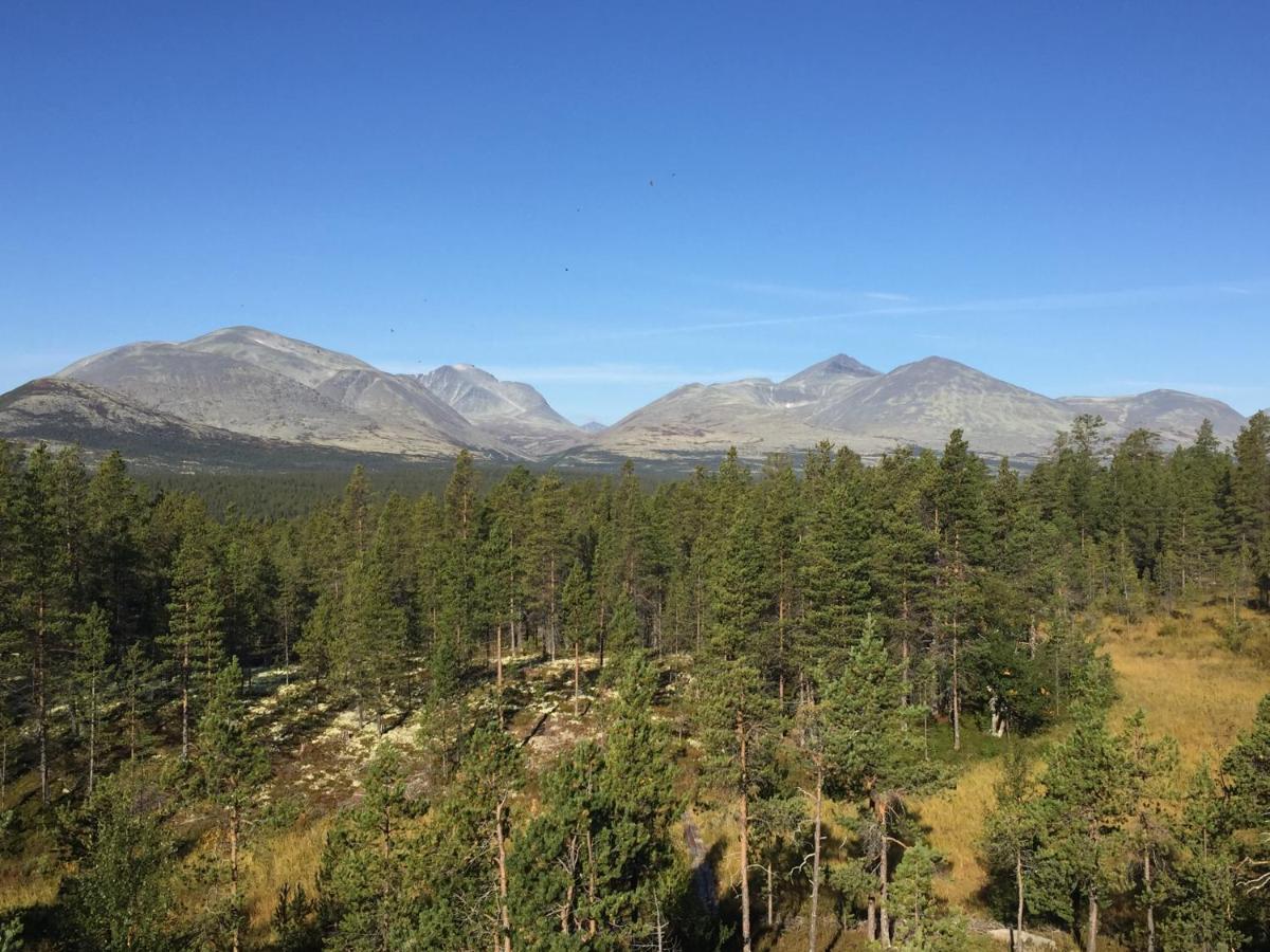 Ferienhaus øvre Nordli Rondane Utleie Friluftsliv