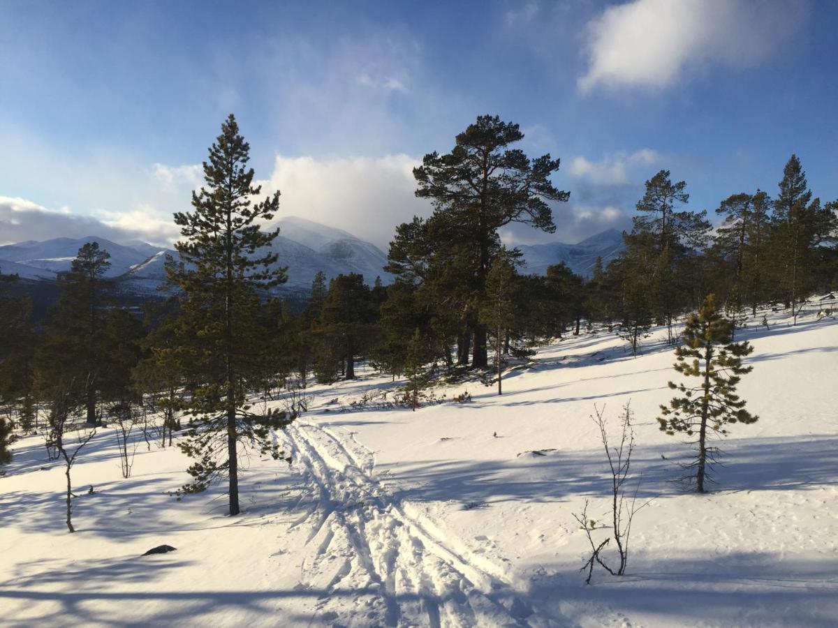 Ferienhaus øvre Nordli Rondane Utleie Friluftsliv Sollia